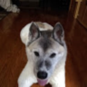 Meet your Posher, Jacob